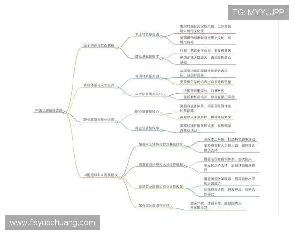 足球赛事的国际影响力与本土化发展策略 足球赛事的国际影响力与本土化发展策略