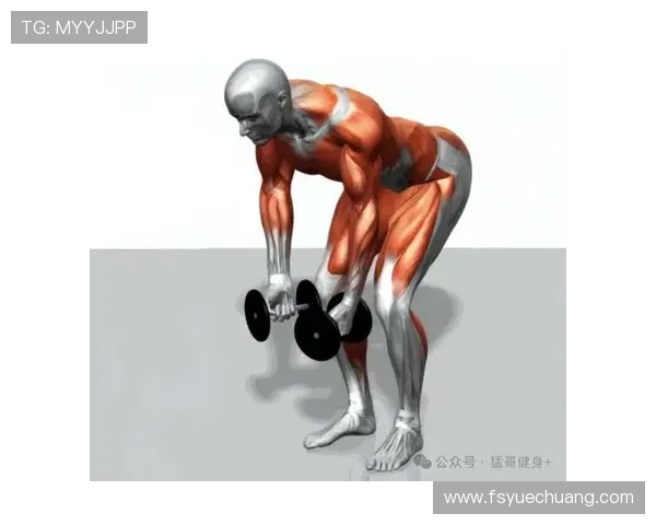 飞鸟扩胸训练器助力上肢力量全面提升