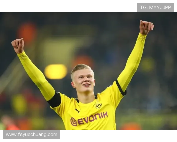 哈兰德在德甲效力过的球队及其成长历程